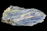 Vibrant Blue Kyanite Crystals In Quartz - Brazil #118871-1